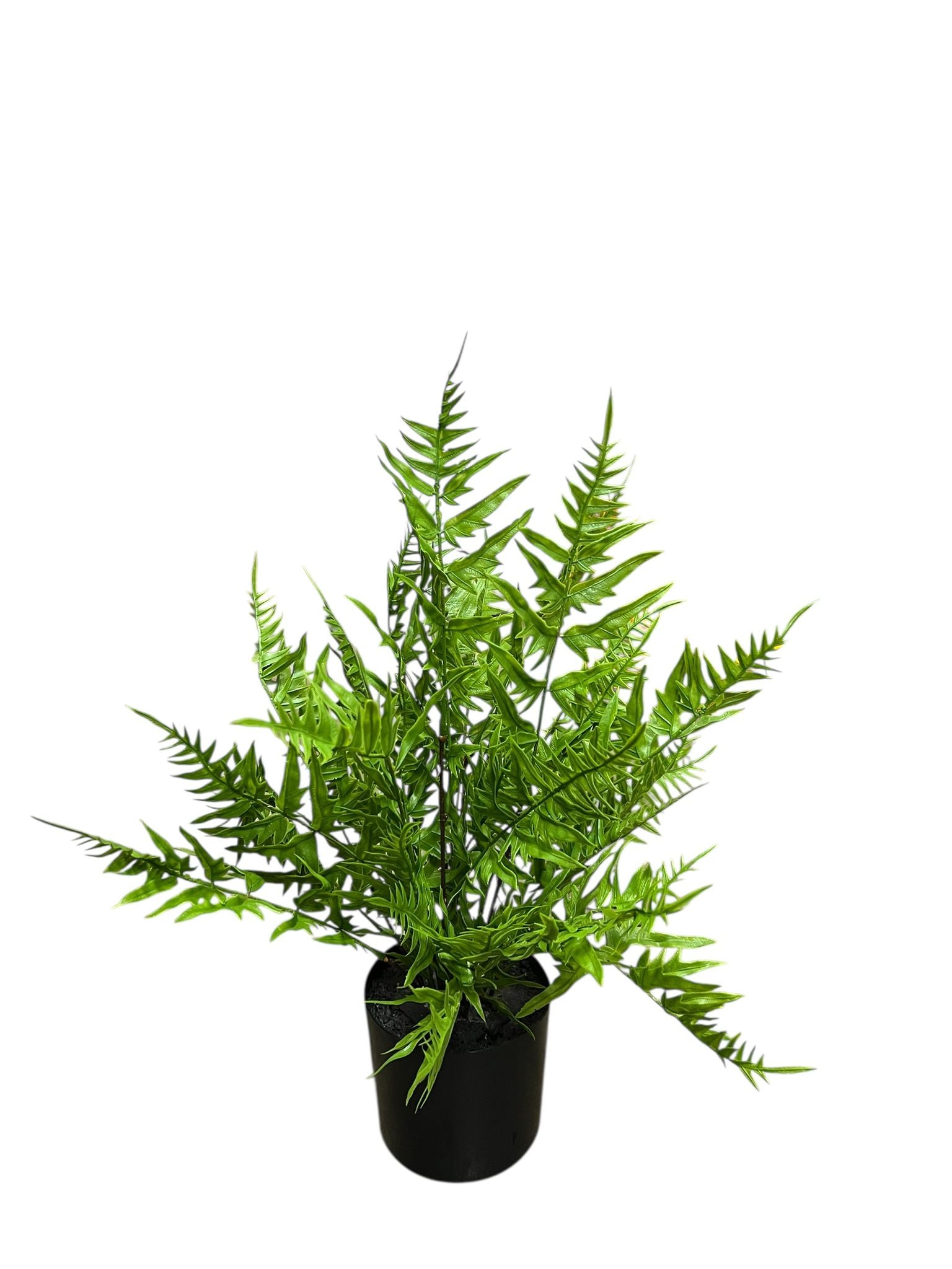 55cm Artificial Plant Ferns in a plastic pot, home & office deco, balcony, corridor Aplant1157a