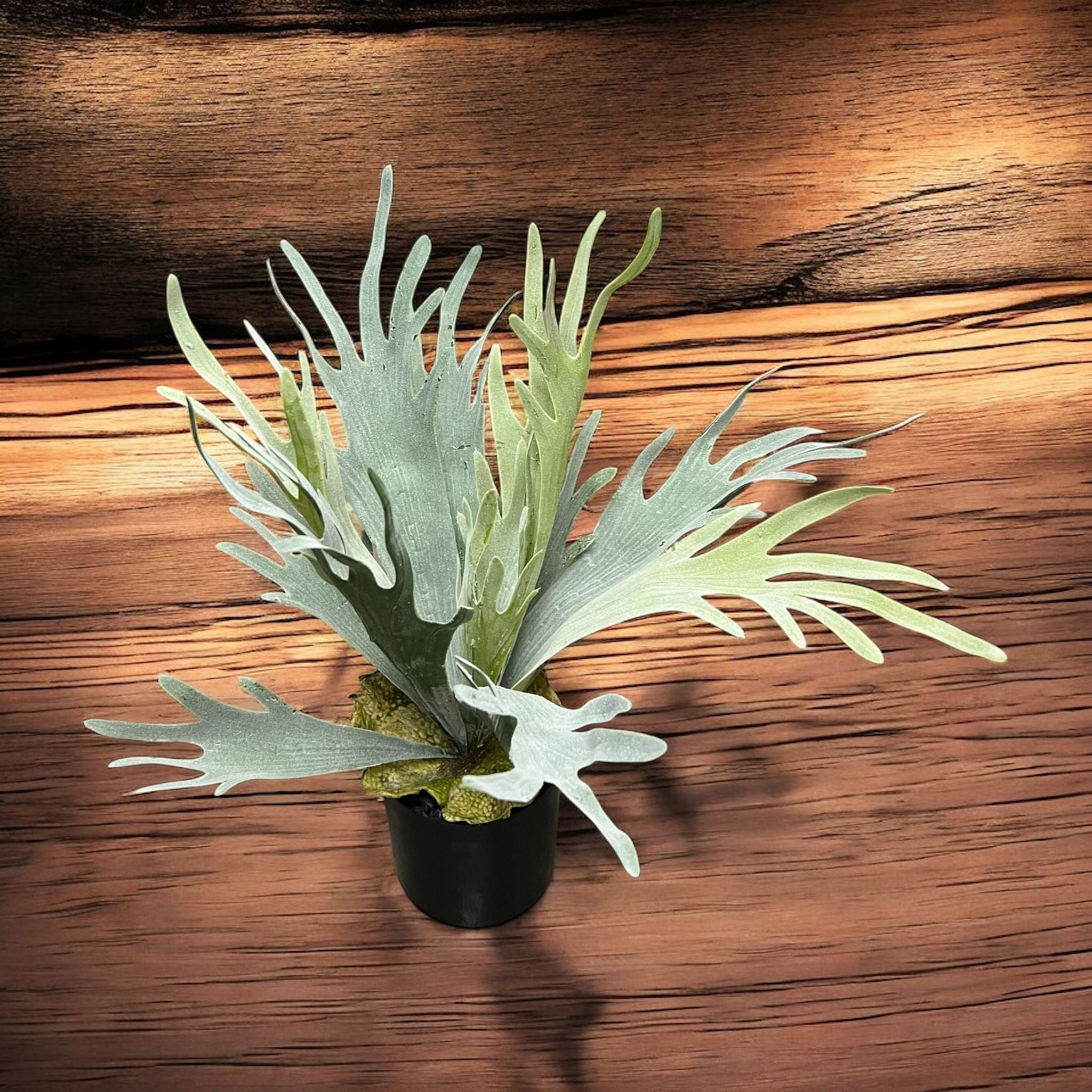 40cm Artificial Plant, foilages, Staghorn, home decor, garden, Aplant1159