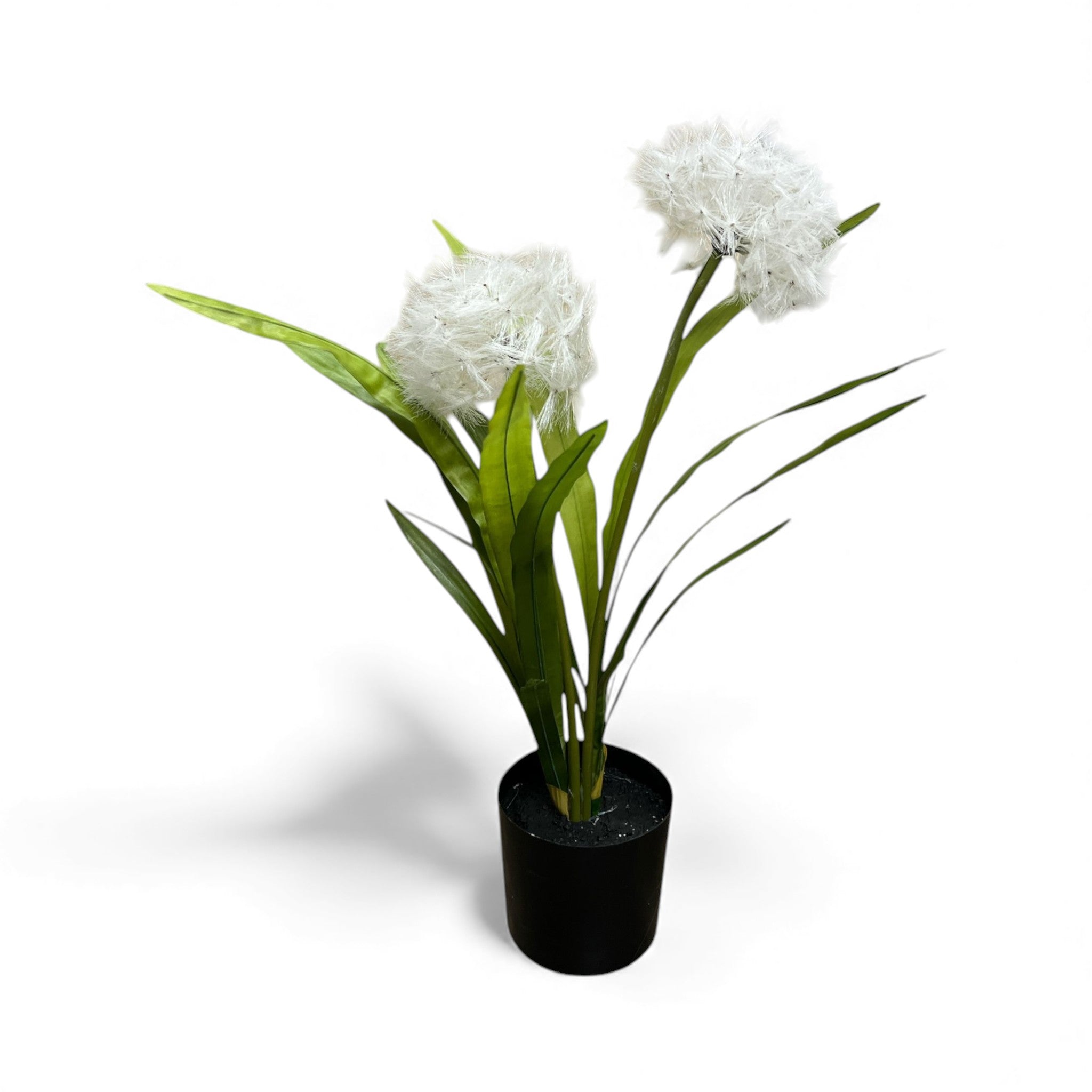 Artificial white dandelion or allium flower plant in a black round pot, suitable for indoor home or office decor.