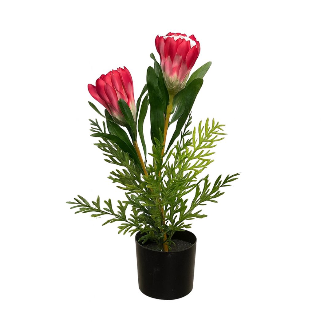 50cm Plant Artificial, Faux Plants, Home Decor, events, gardens, Potted Plants, Protea Plant Aplant1202