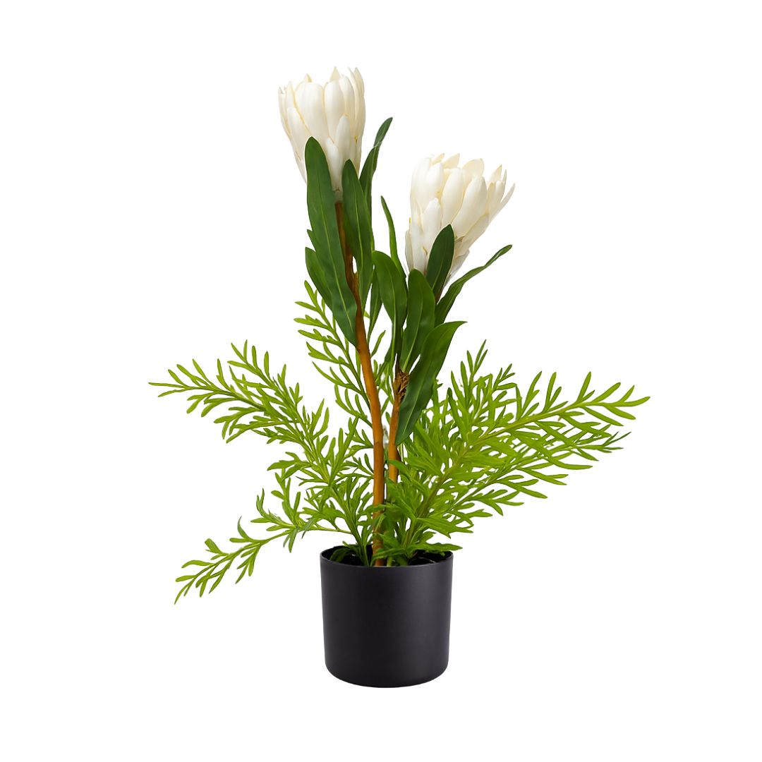 50cm Plant Artificial, Faux Plants, Home Decor, events, gardens, Potted Plants, Protea Plant Aplant1202