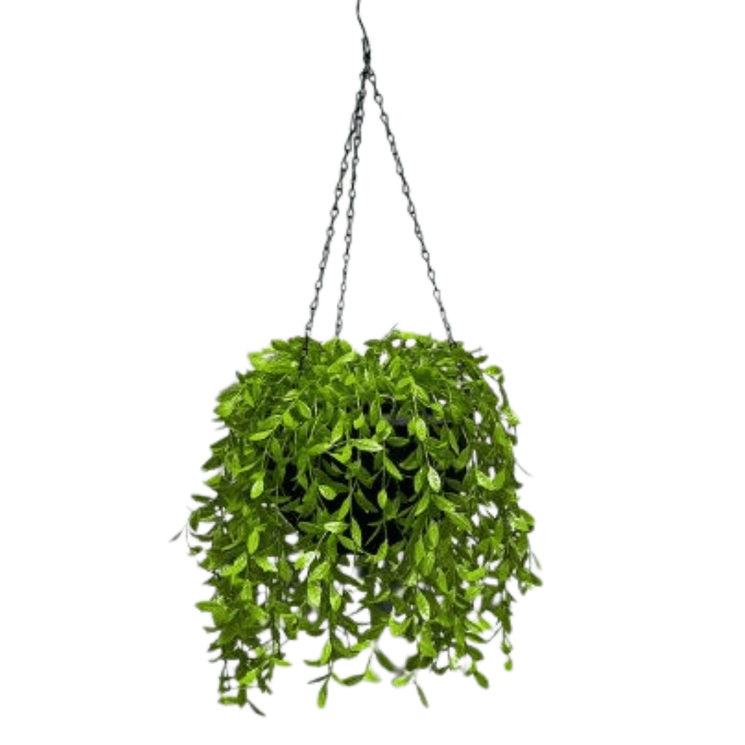 Plant Artificial, Faux Plants, Home Decor, events, gardens, Potted Plants, hanging, celling Aplant1205