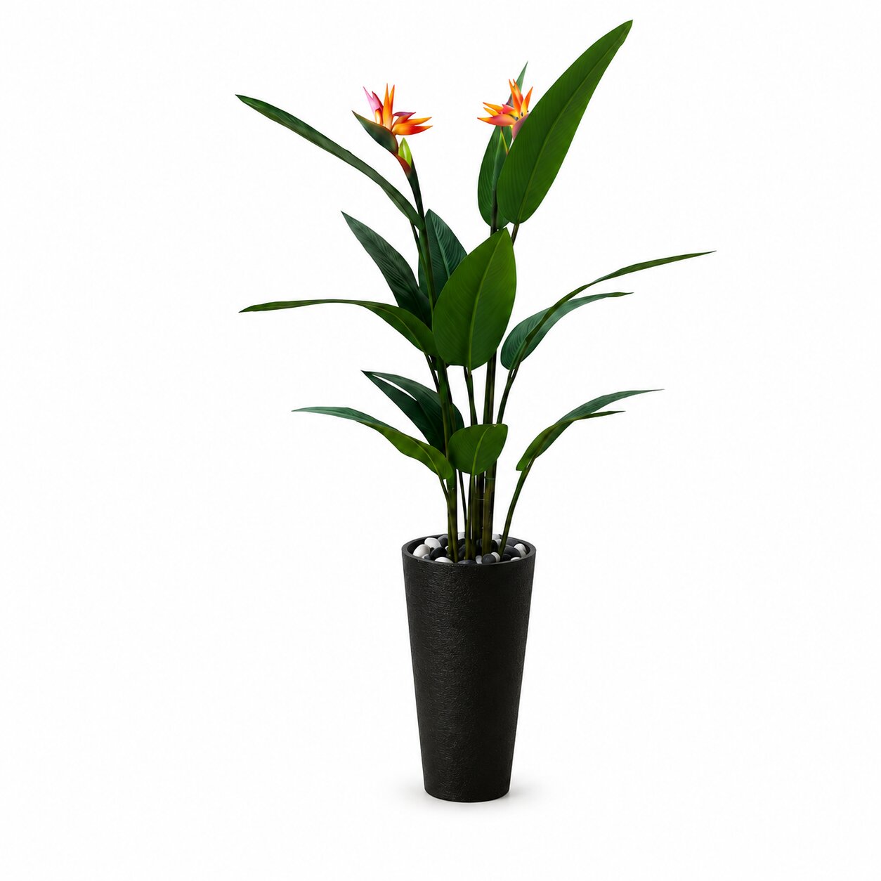 160cm Elegant Artificial Bird of Paradise Plant – Choice of Black or White Pot