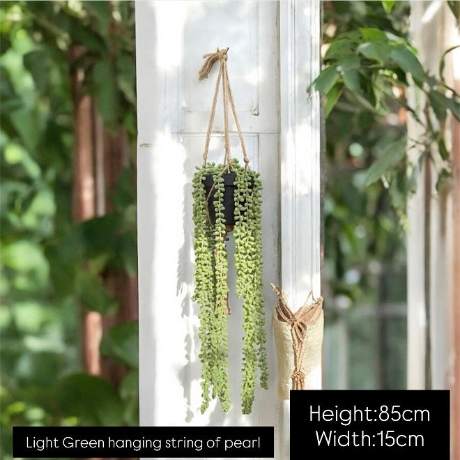 String of Pearl Hanging Plant with Pot