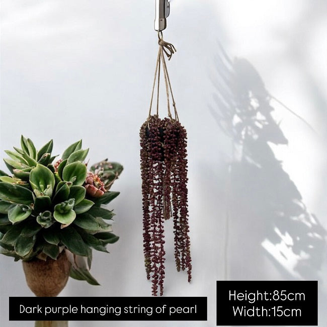 String of Pearl Hanging Plant with Pot