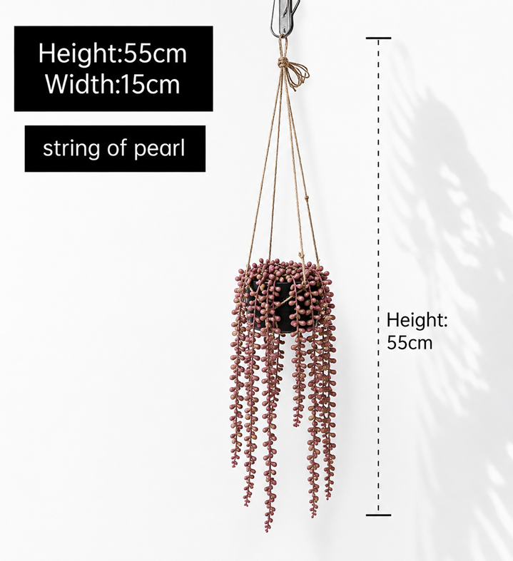 String of Pearl Hanging Plant with Pot