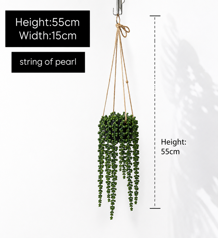 String of Pearl Hanging Plant with Pot