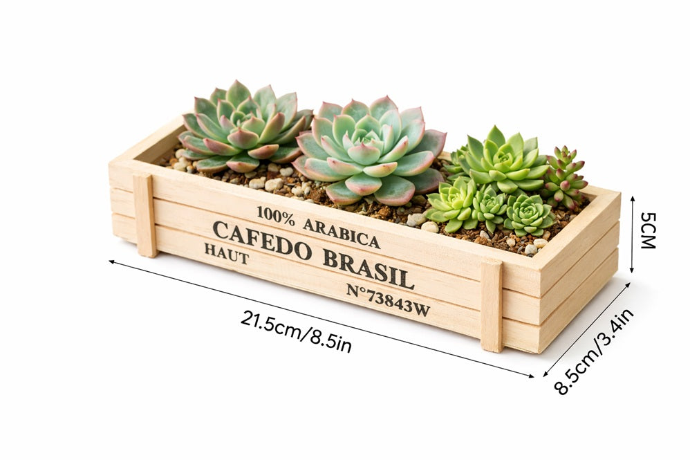 Rustic 5cm wooden crate planter with three live cacti and succulents, including barrel cactus and assorted mini succulent arrangement.