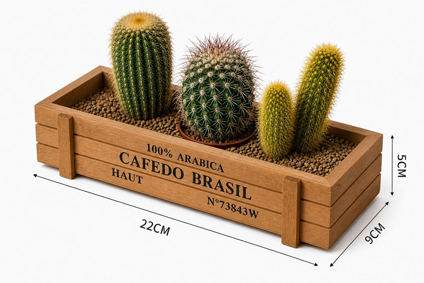 Rustic 5cm wooden crate planter with three live cacti and succulents, including barrel cactus and assorted mini succulent arrangement