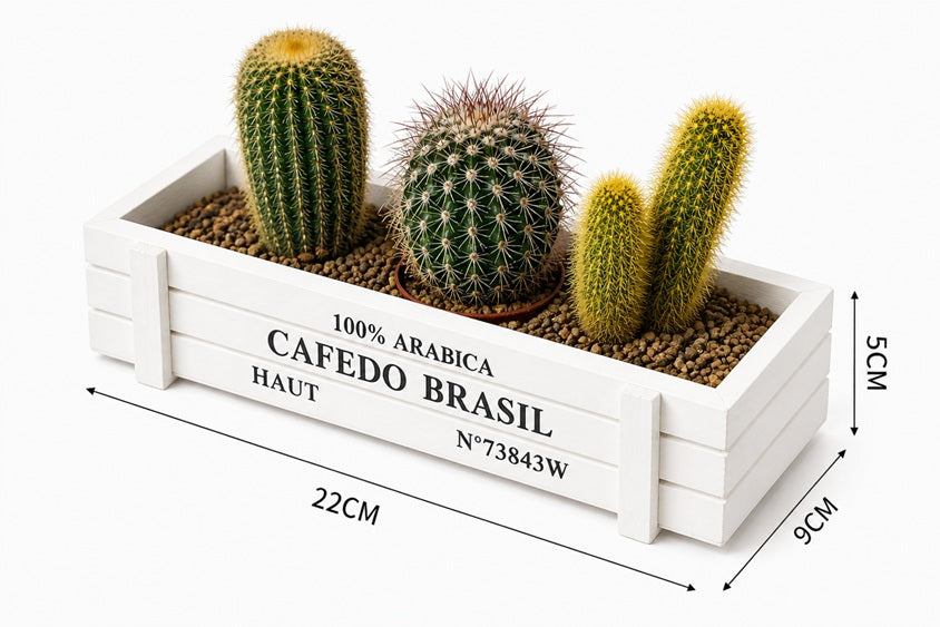 Rustic 5cm wooden crate planter with three live cacti and succulents, including barrel cactus and assorted mini succulent arrangement.