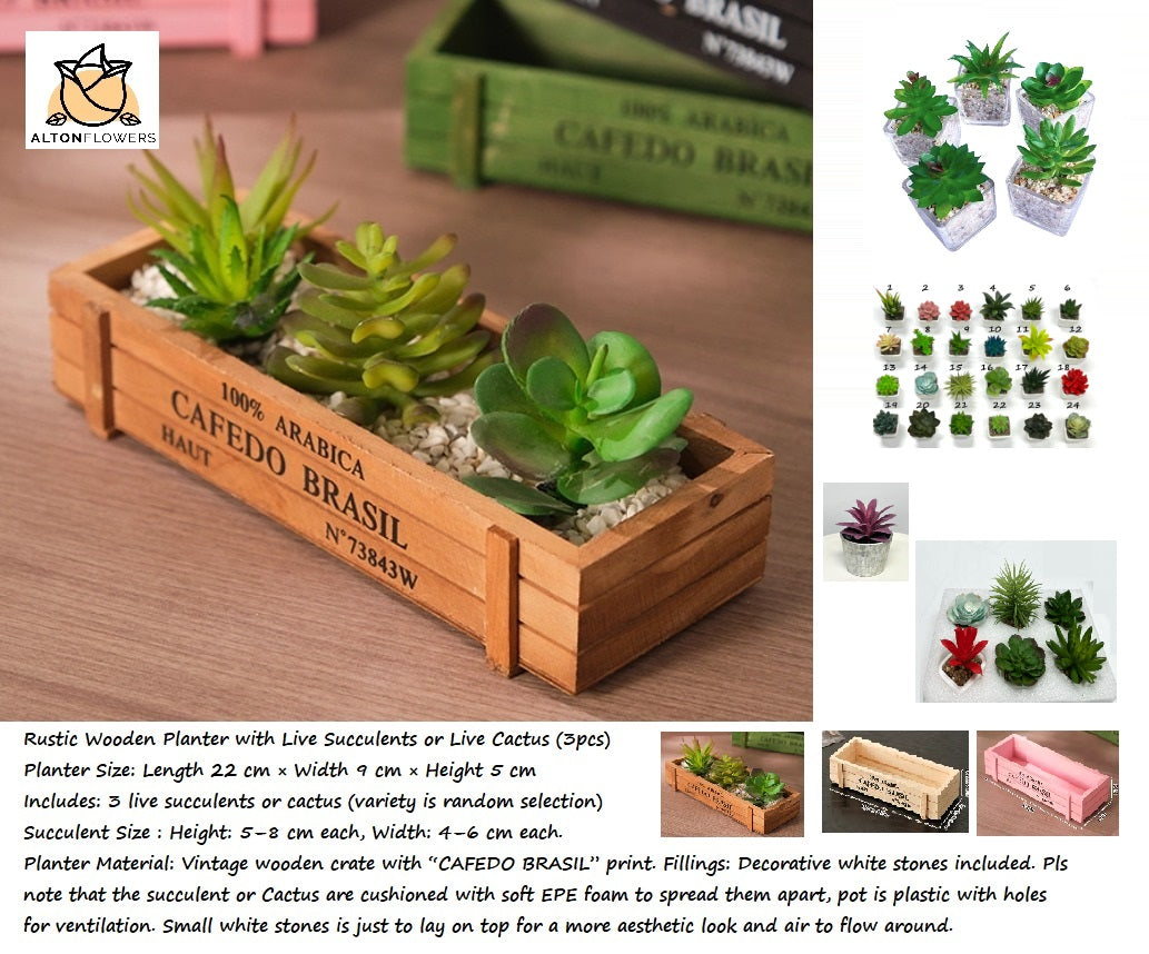 5cm Rustic Wooden Planter with ARTIFICIAL Succulents (3pcs) Aplant1261