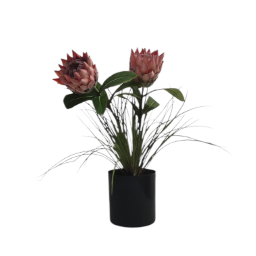 48cm Artificial Pink Protea Potted Plant | Elegant Modern Floral Décor Aplant1269