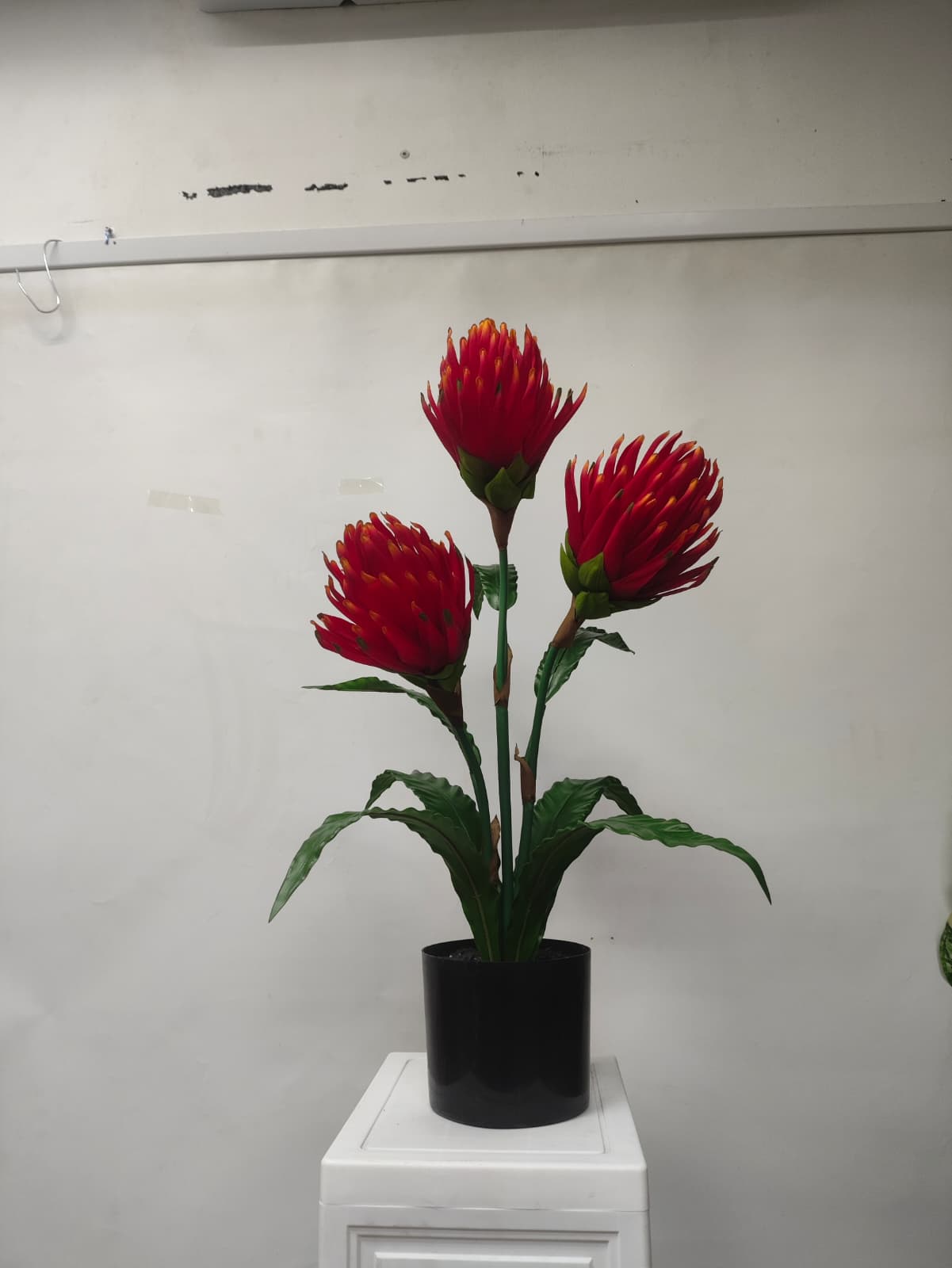 70cm Artificial Protea Plant | Medium Size Plant | Faux Plants for Home & Office Decor Events Aplant1273