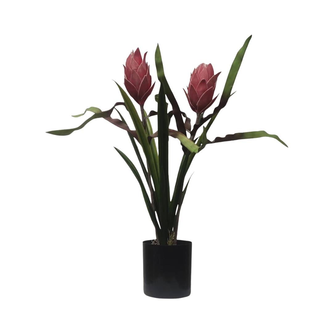 65cm Pink tropical plant Aplant1277