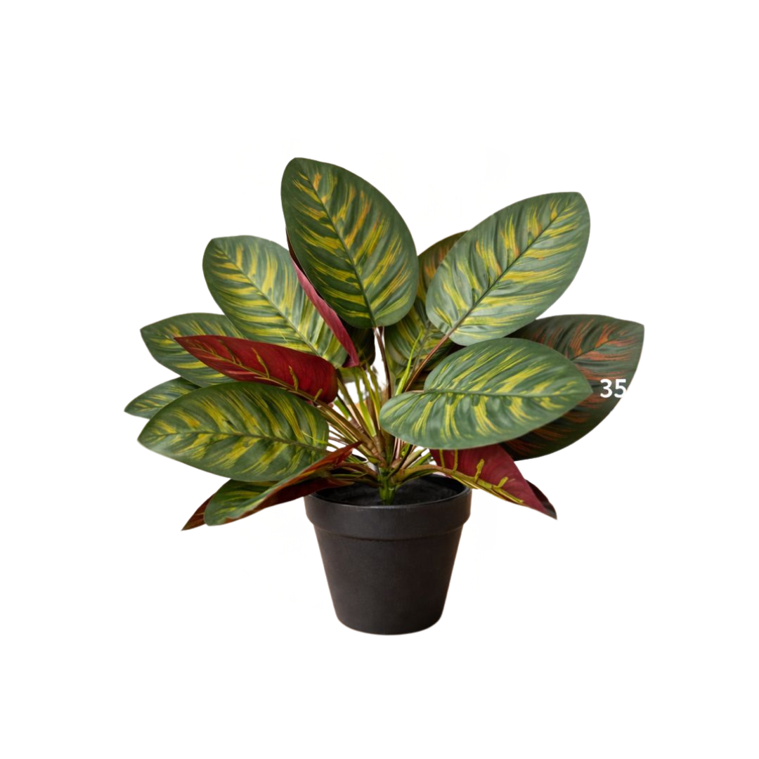 35cm Artificial Calatea plant Aplant1287