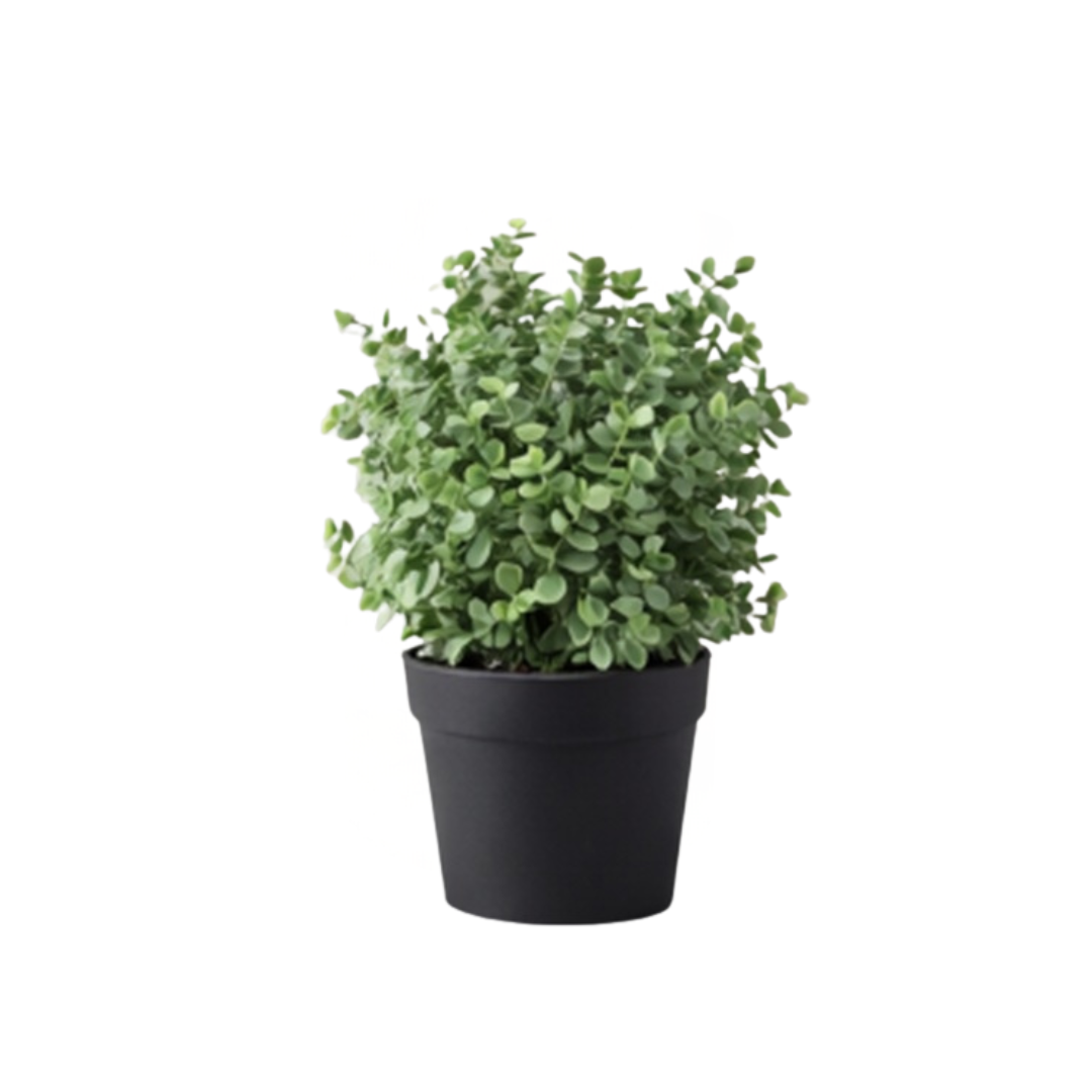 30cm Plant Eucalyptus Bush in a Black Plastic Pot | Artificial Plants | Small Faux Plants Aplant1289 - Alton Flowers
