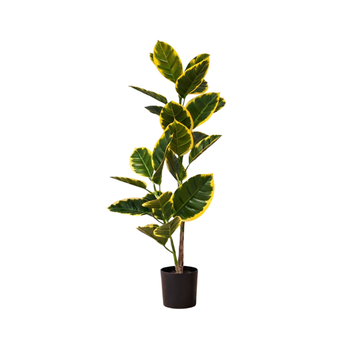 110cm Artificial Rubber Plant with Black Pot | Realistic Indoor Decorative Plant Aplant1293-6