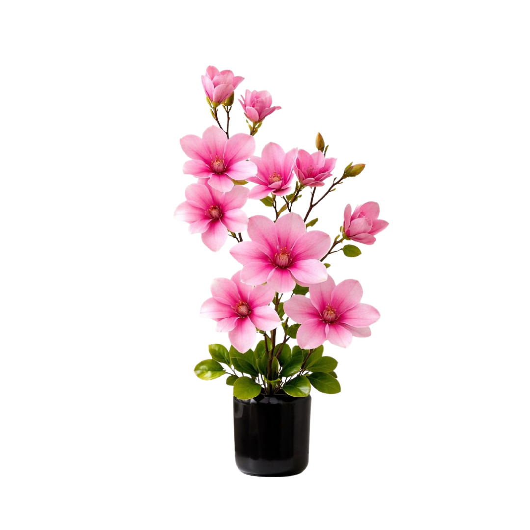 70cm Flower Magnolia Artificial Plant set in Black Pot