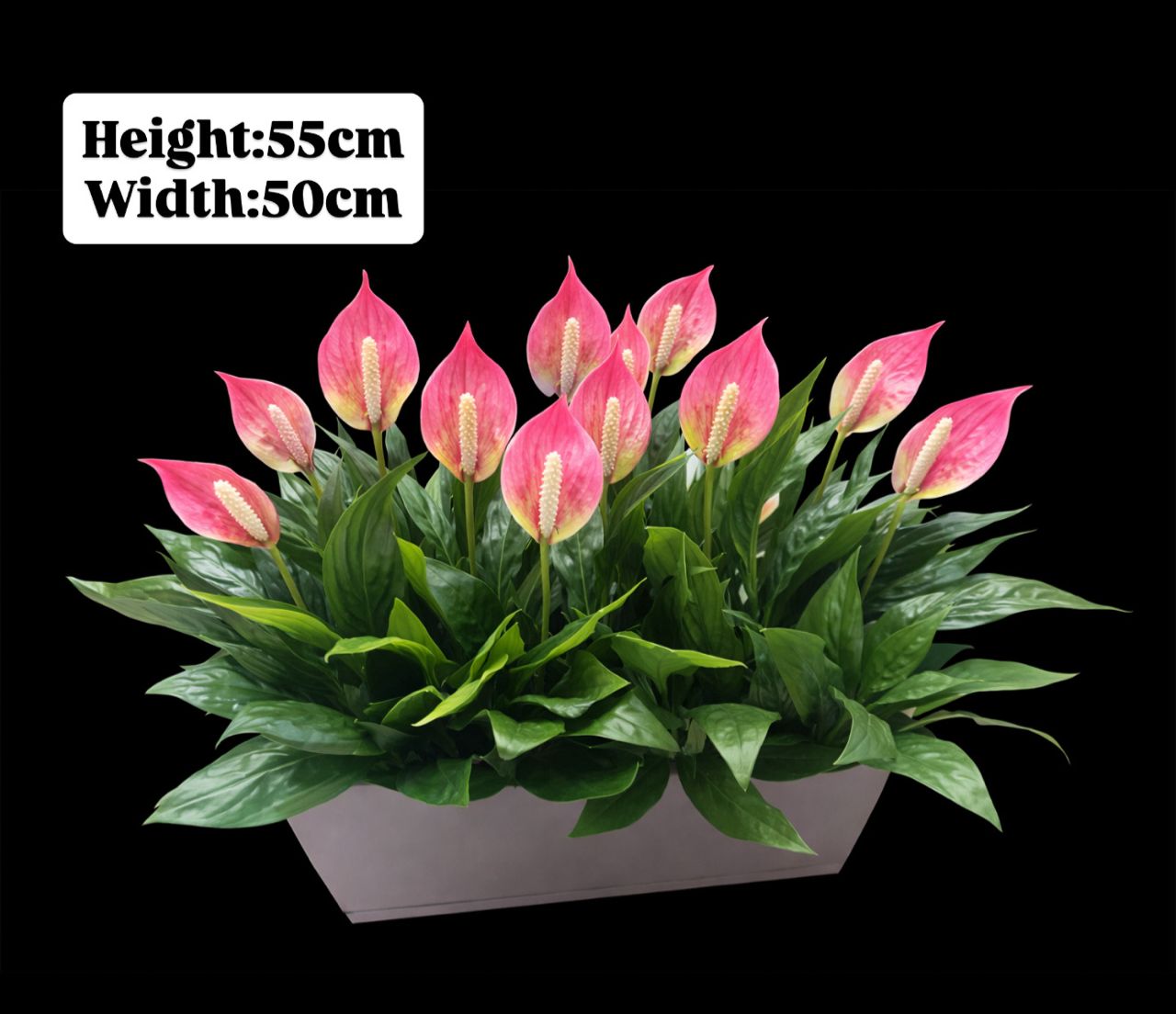 Artificial Peace Lily bush in rectangular pot, 55cm tall, ideal for home decor, garden, or event decoration by Alton Flowers.