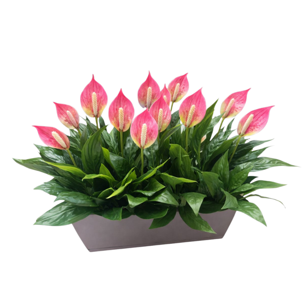 55cm Plant Artificial Peace Lily Bush Plant in rectangular pot, home decor, decor, garden, events