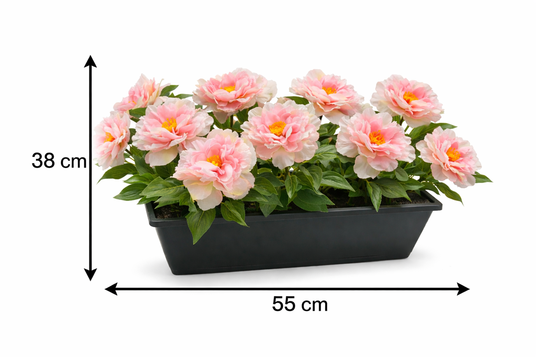 Artificial peony flowers in a 38cm plastic planter pot by Alton Flowers, realistic pink peonies arranged in a sturdy container.