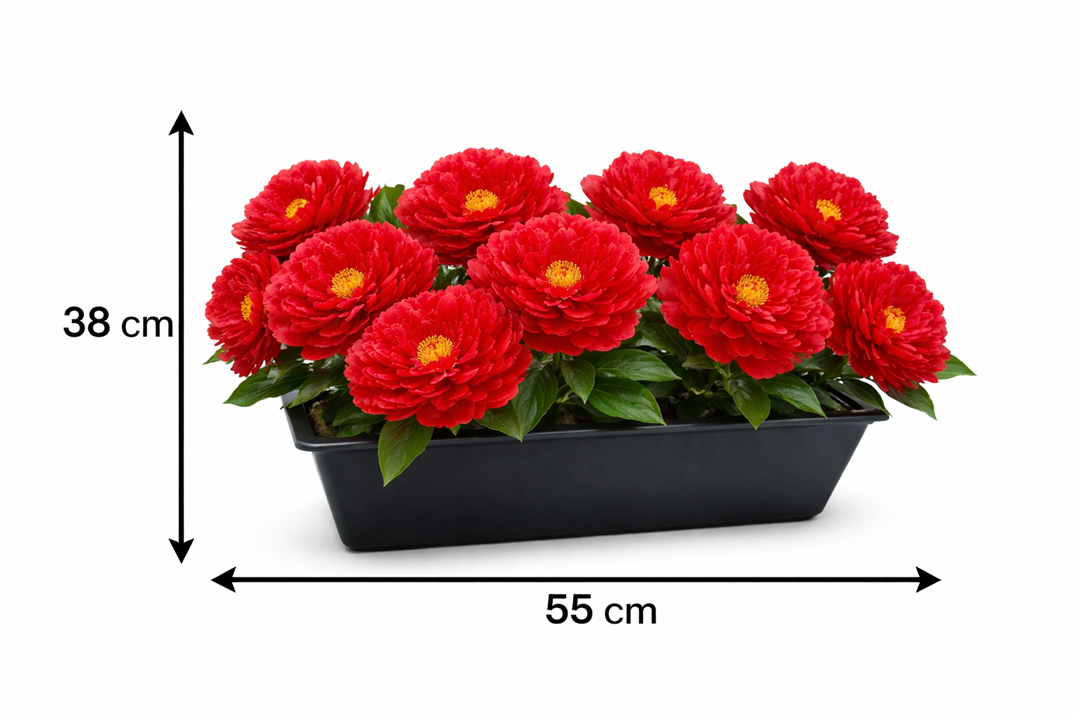 Red 38cm artificial peony flowers in a plastic planter pot by Alton Flowers, arranged for decorative display.