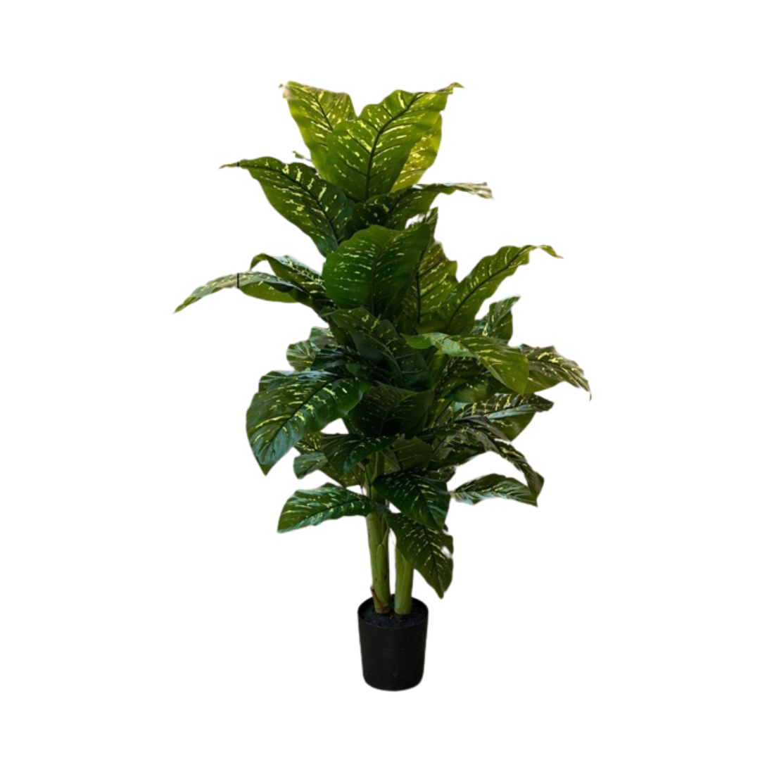 Artificial Diffenbachia plant, 160cm tall, from Alton Flowers, perfect for home decor, garden, events, or office spaces.