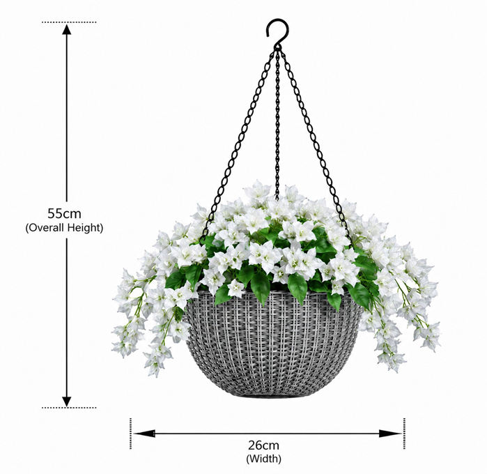 Elegant Hanging Bougainvillea in a double layered plastic pot