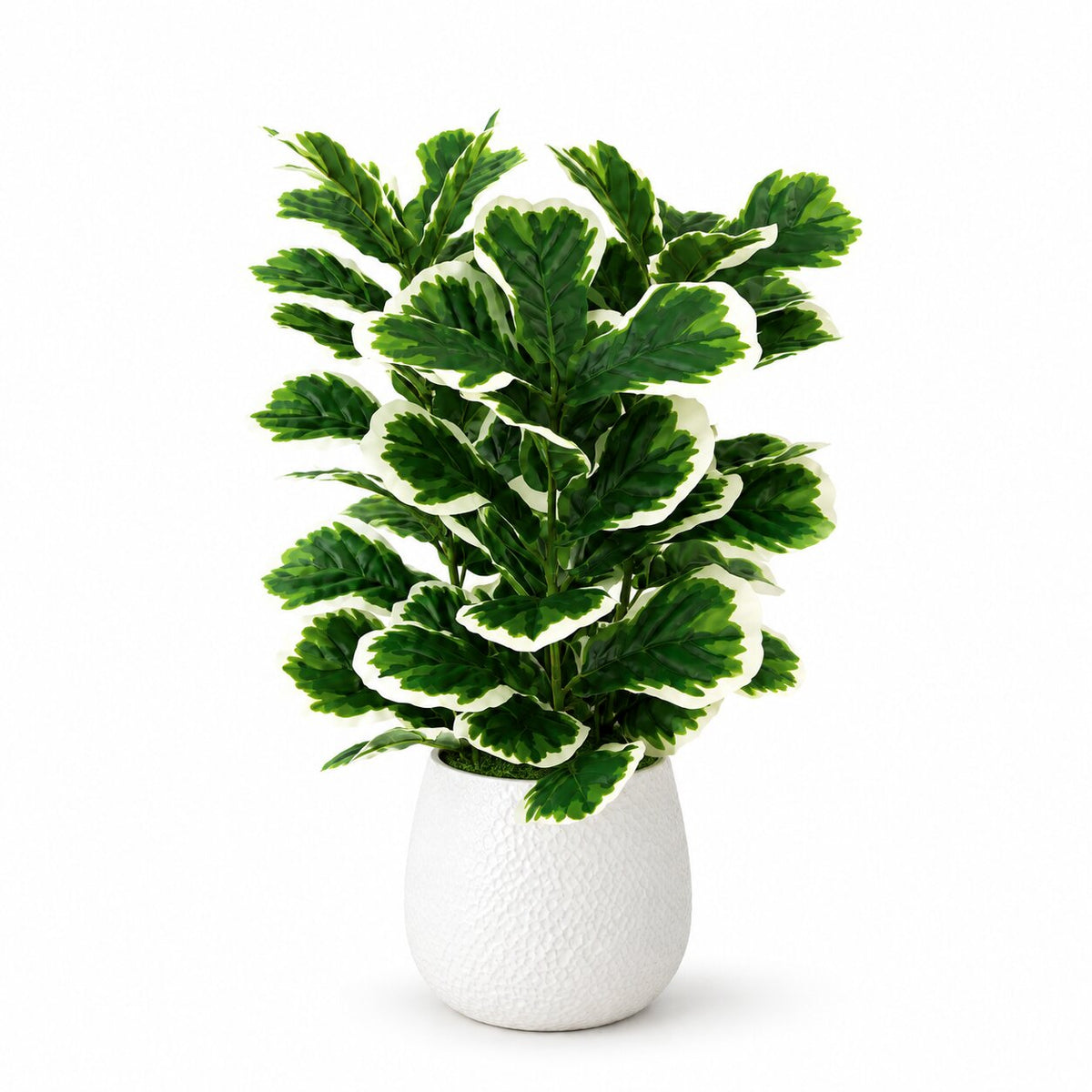 85cm Artificial Ficus Plant in White Pot
