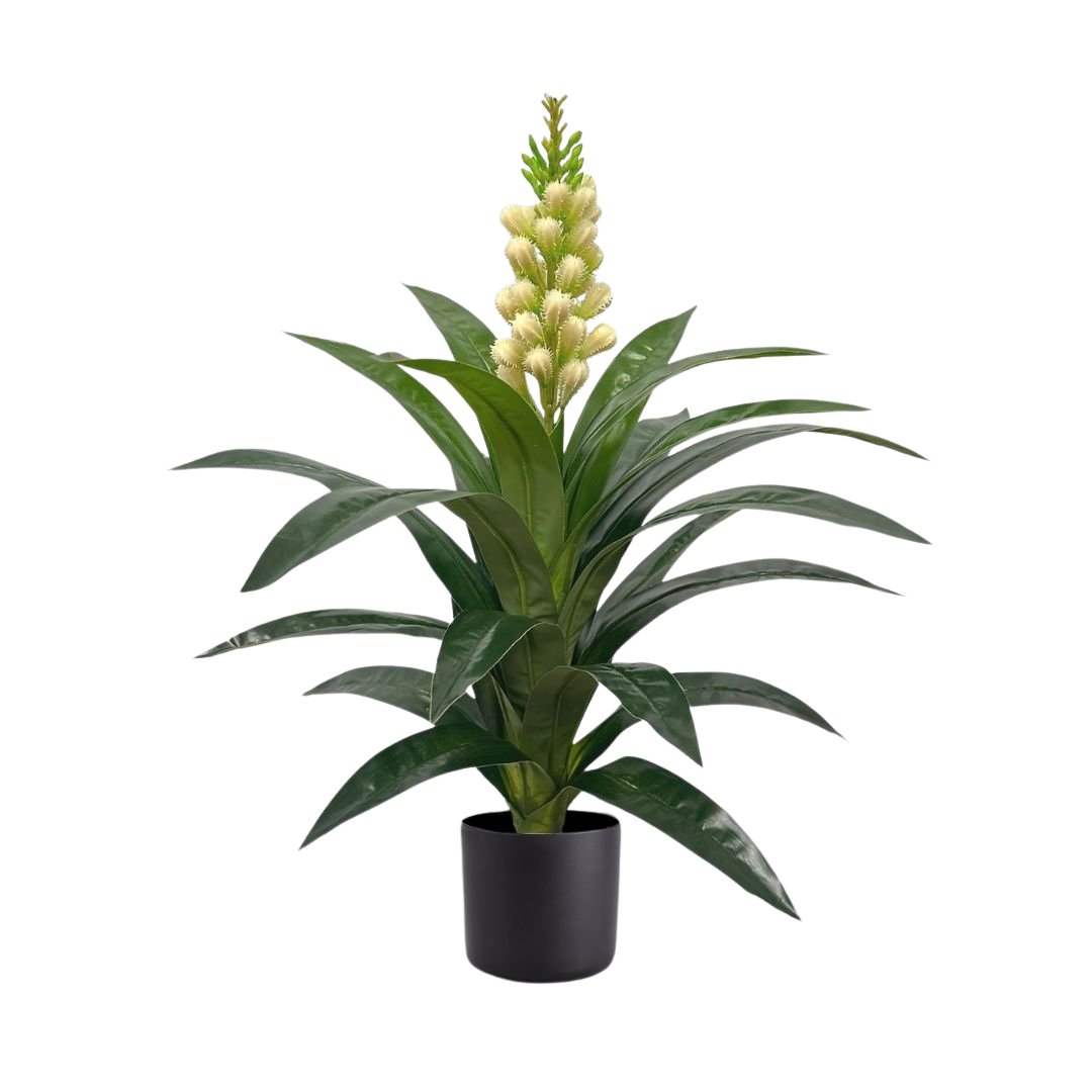 60cm Clivia Plant Artificial Aplant158