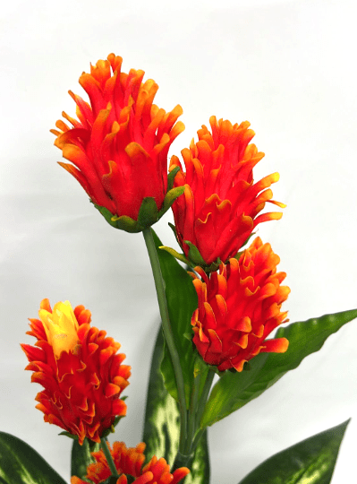 75cm Artificial Protea Plant, Life like, home deco, office, events, garden Aplant163