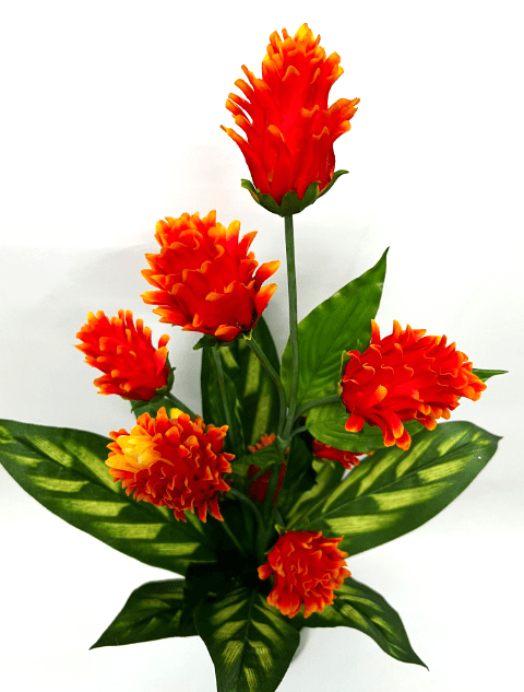 75cm Artificial Protea Plant, Life like, home deco, office, events, garden Aplant163