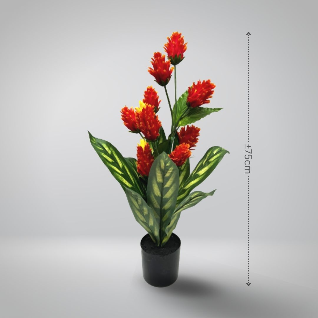 75cm Artificial Protea Plant, Life like, home deco, office, events, garden Aplant163