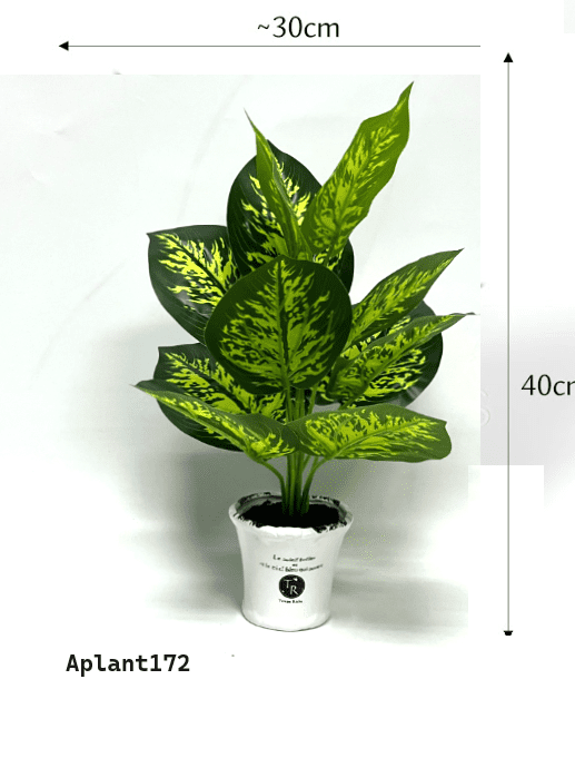 40cm Dieffenbachia Plant Artificial Aplant172