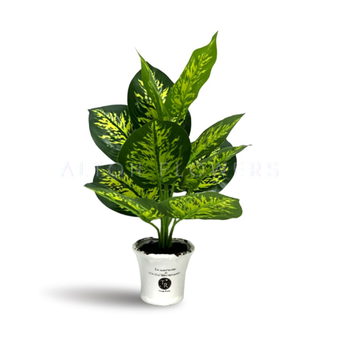 40cm Dieffenbachia Plant Artificial Aplant172