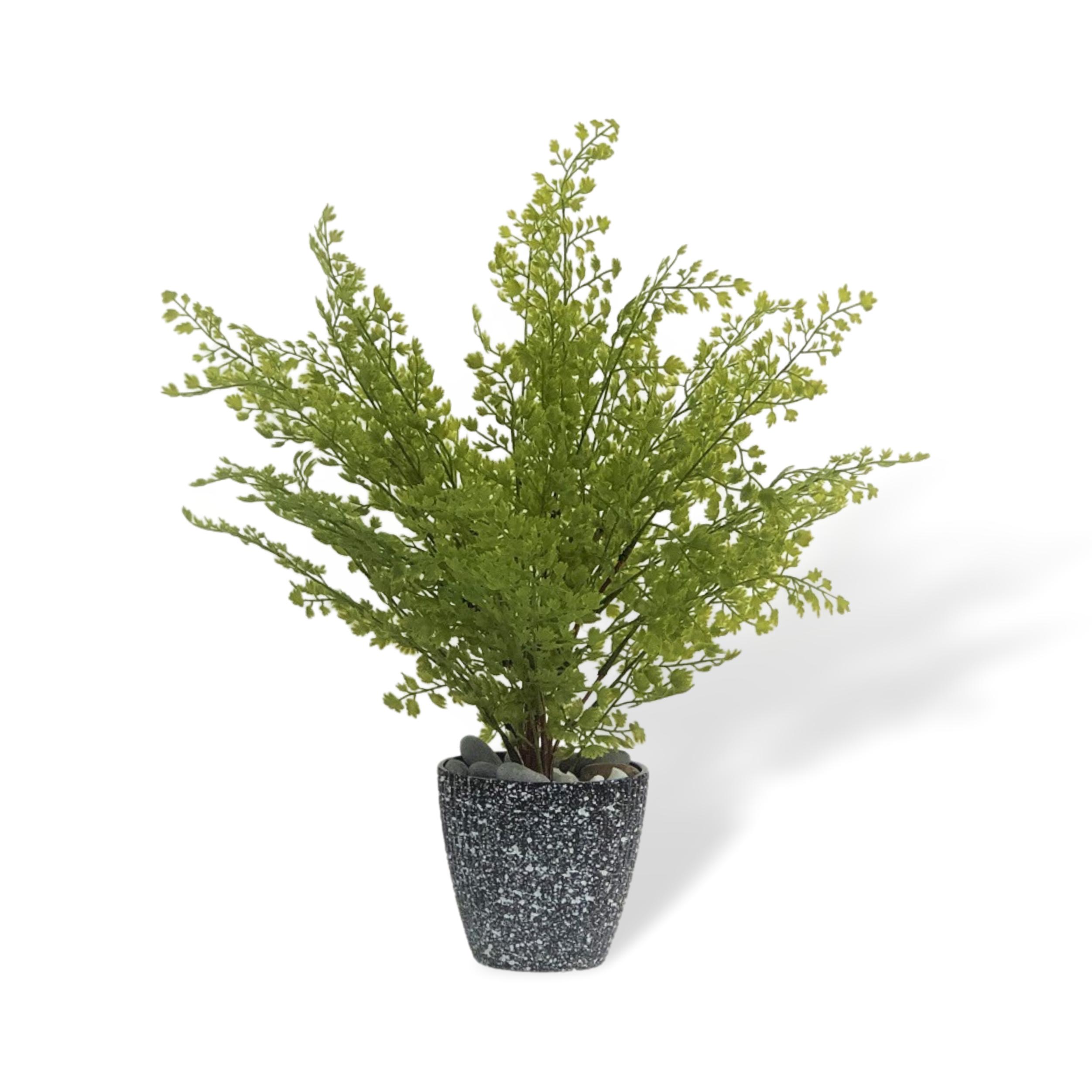 Aplant191 clipped rev 1