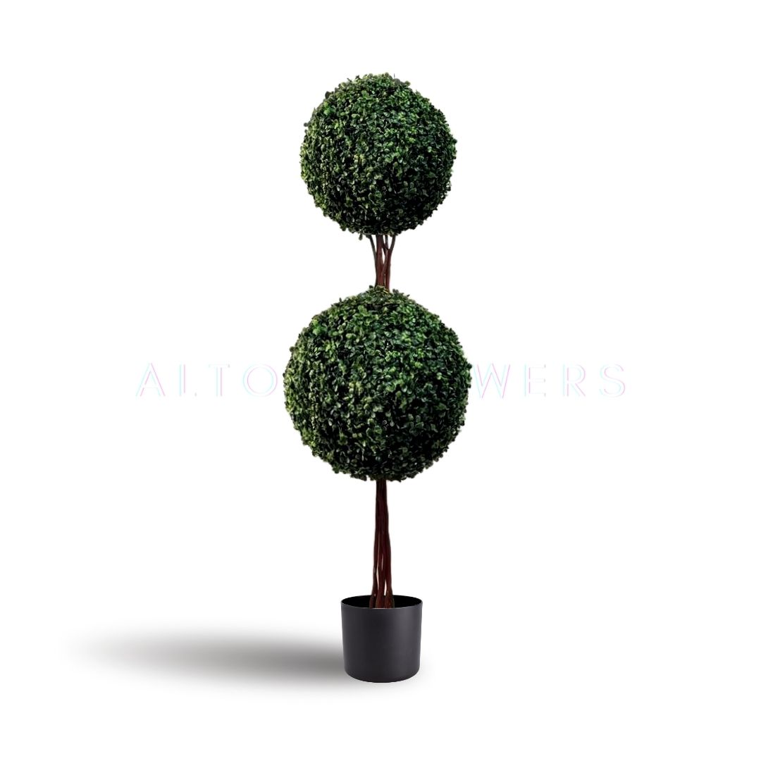 110cm Double Topiary Boxwood Aplant303