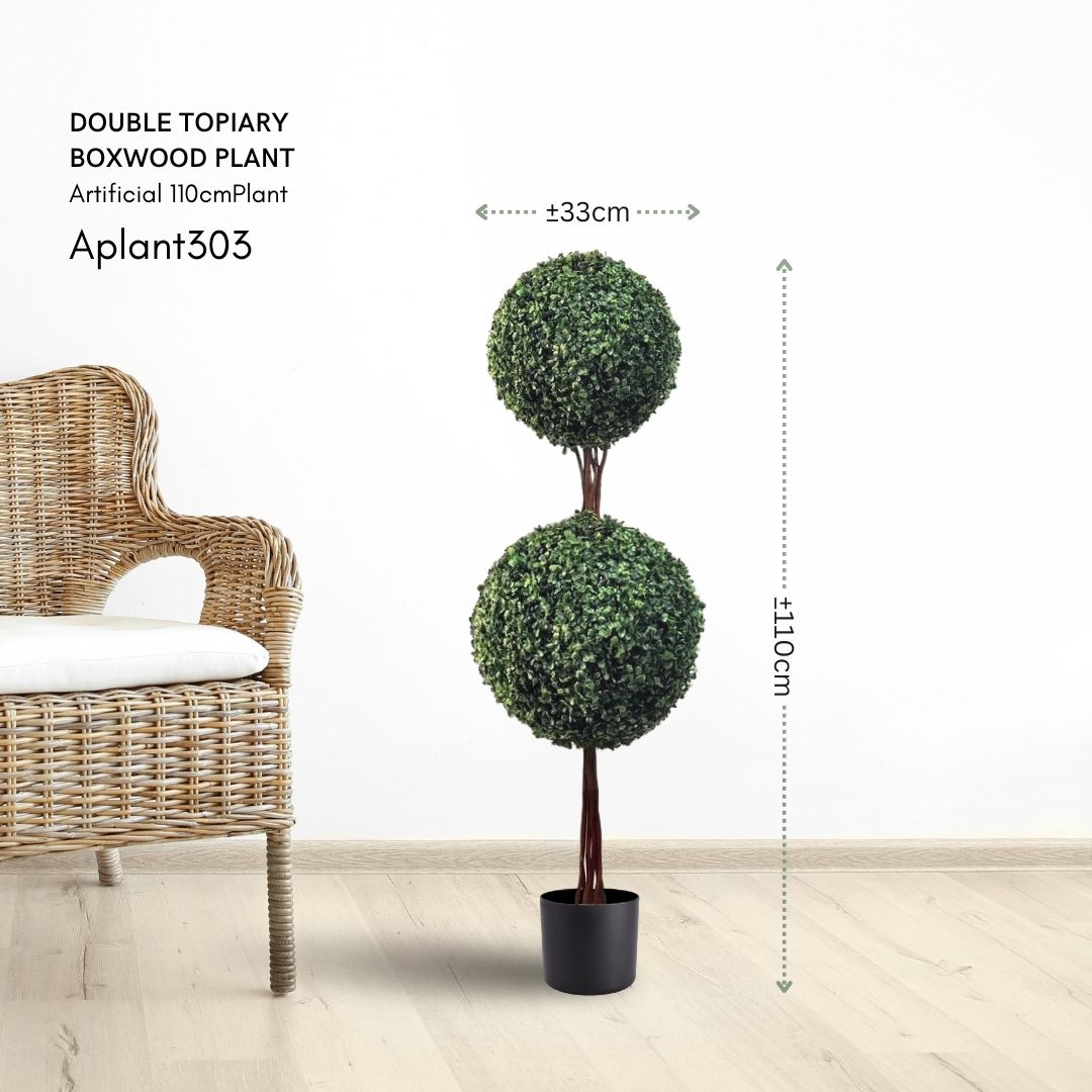 110cm Double Topiary Boxwood Aplant303