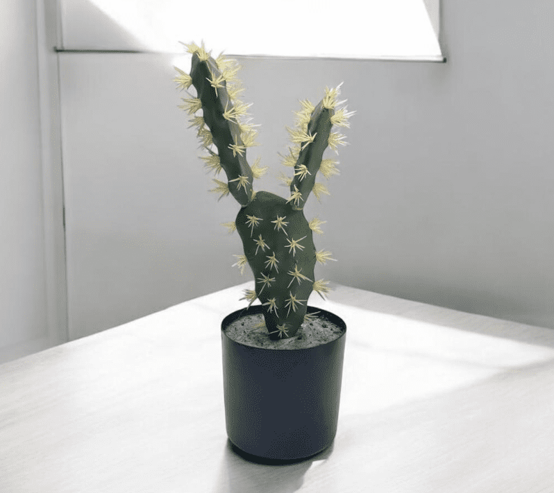 40cm Cactus Bunny Ears @-@ Artificial Plant Aplant318