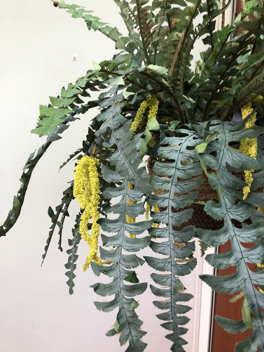 Plant Japanese painted Fern Artificial Aplant405