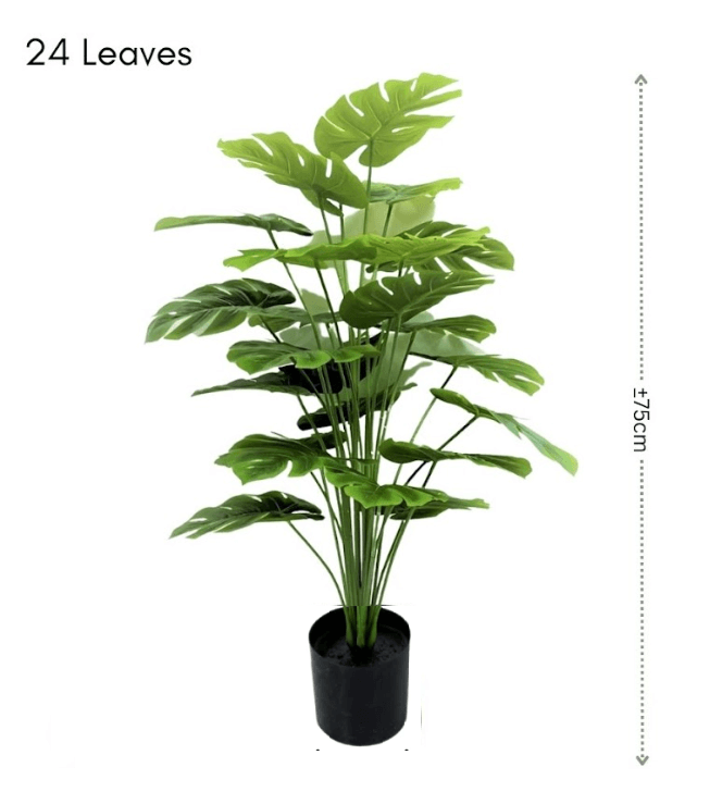 Artificial Monstera Swiss Cheese Plant with 24 lush green leaves, 75cm tall, from Alton Flowers.