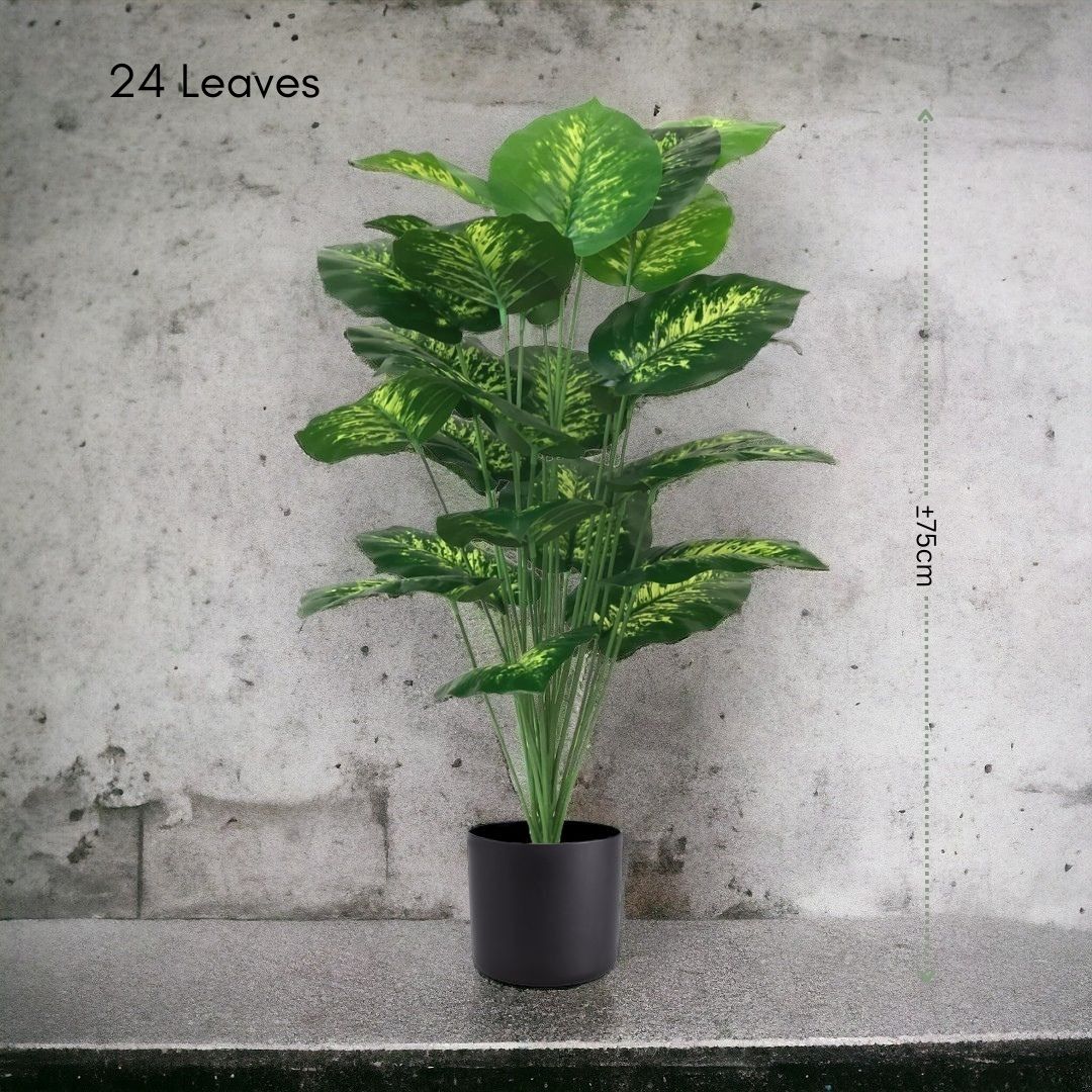 75cm Plant Artificial dieffenbachia x 24 leaves Aplant432a