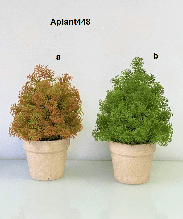 Aplant448