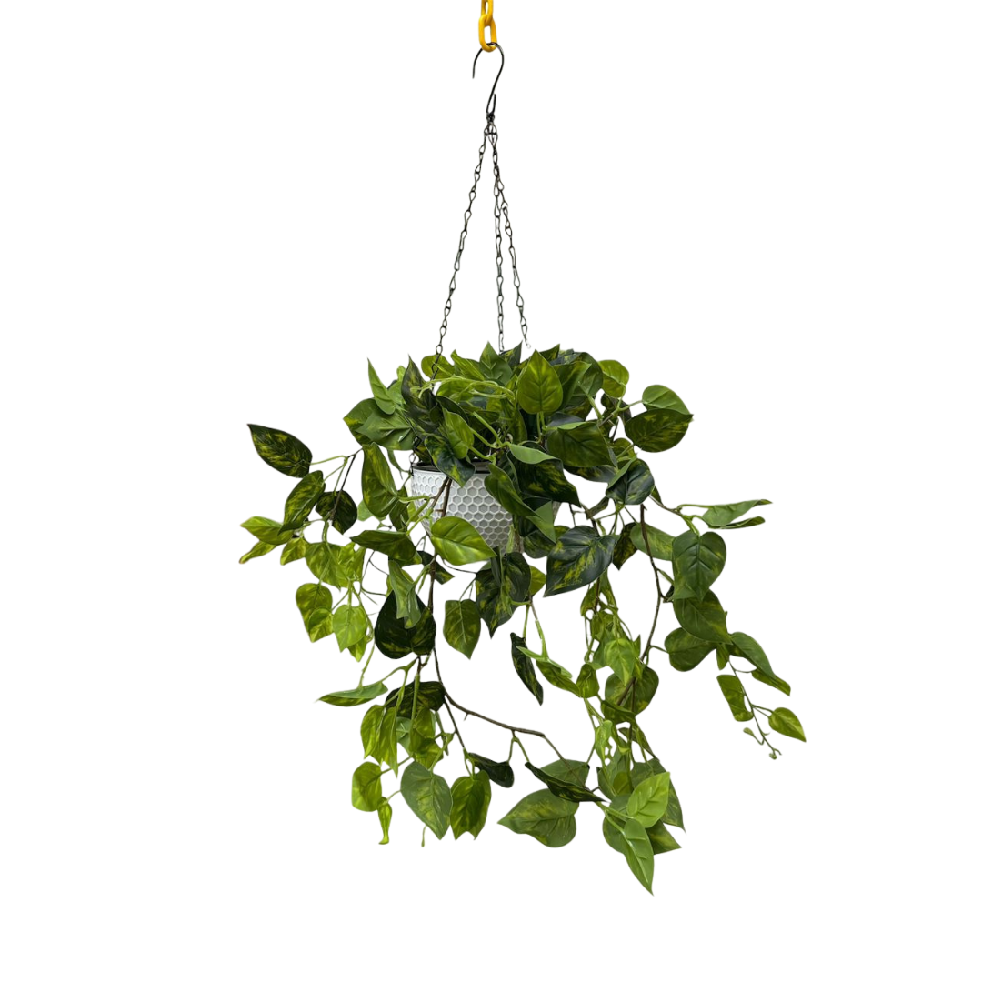 Artificial Plant Philo/Money Plant in Hanging Plastic Pot. Aplant457