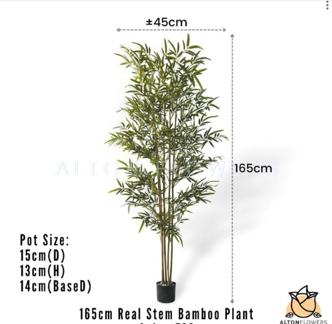 Artificial 165cm bamboo plant with six natural-colored trunks, realistic and decorative from Alton Flowers.