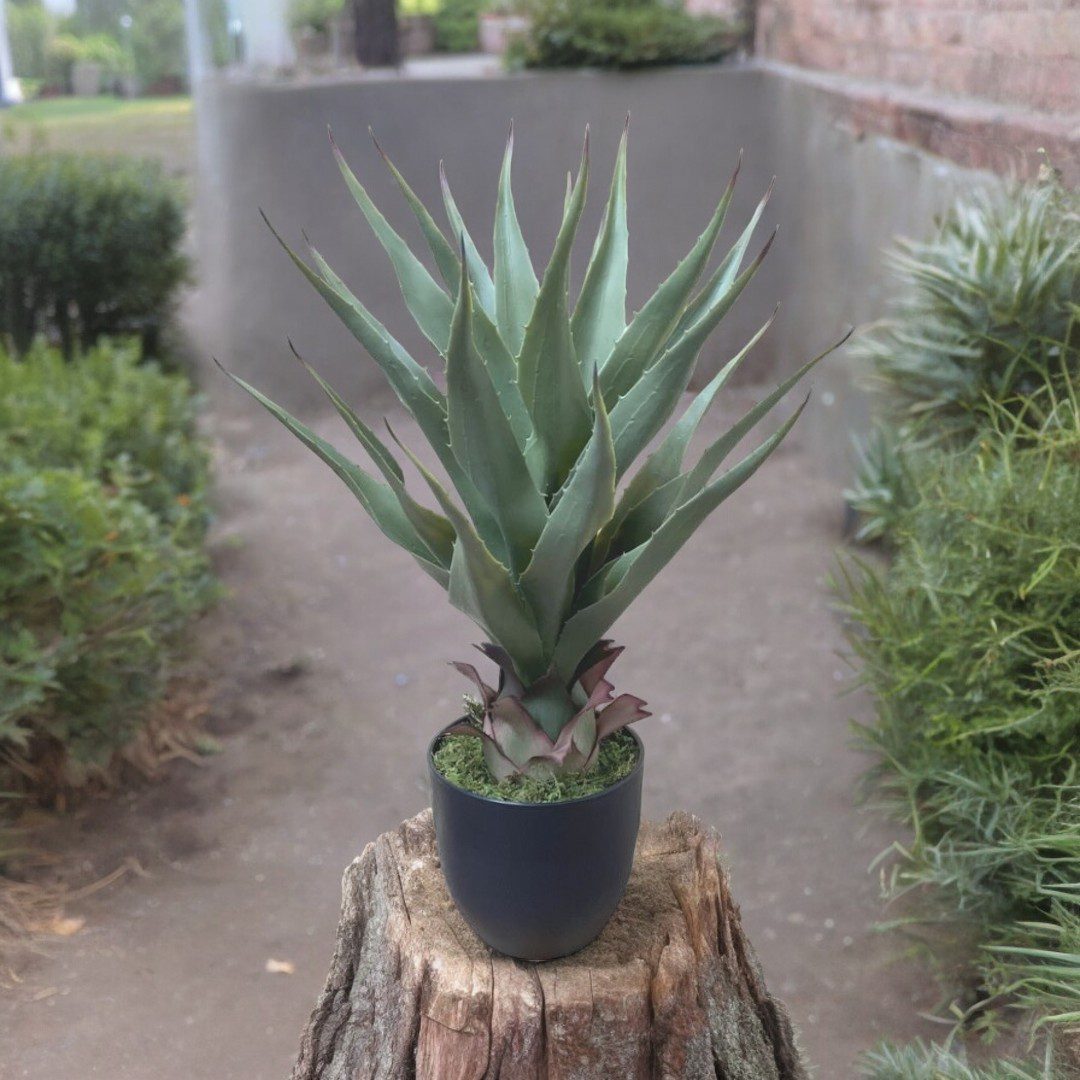 60cm Tequila Agave Plant Artificial Aplant511
