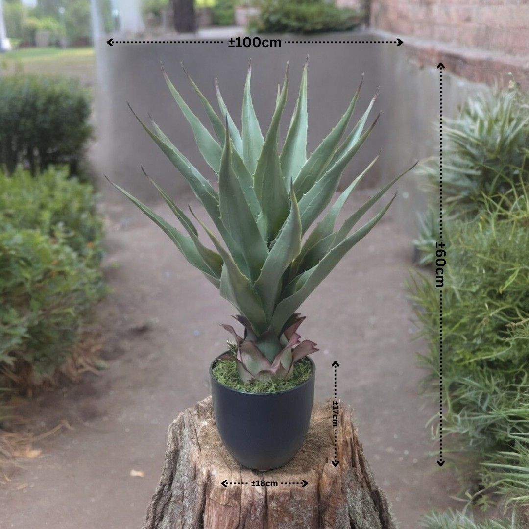 60cm Tequila Agave Plant Artificial Aplant511