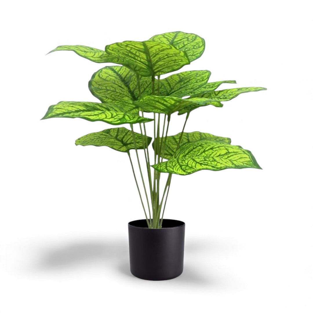 Artificial green Caladium or Alocasia plant with large leaves and prominent white veins in a black pot, suitable for indoor home or office decor.