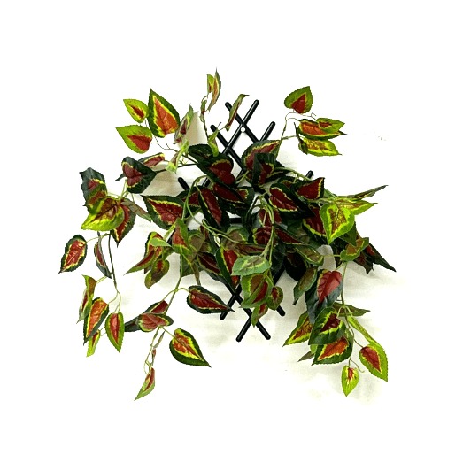 Artificial Coleus plant bush set with a hanger for wall display Aplant546e