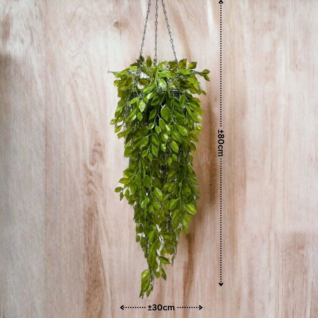 Million Hearts Plant (Dischidia Ruscifolia), artificial, with pot-Aplant576